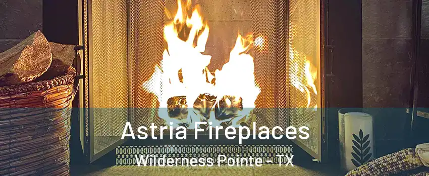 Astria Fireplaces Wilderness Pointe - TX
