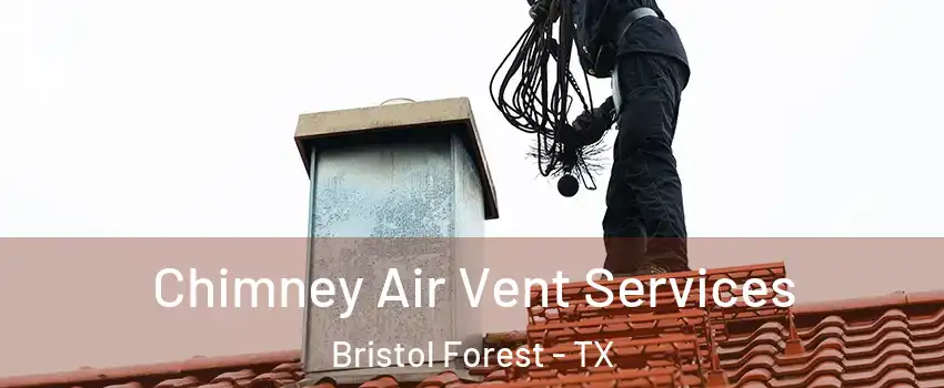 Chimney Air Vent Services Bristol Forest - TX