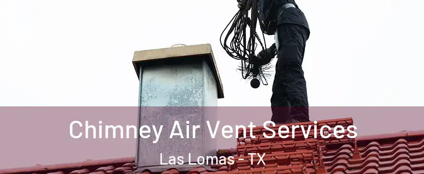 Chimney Air Vent Services Las Lomas - TX