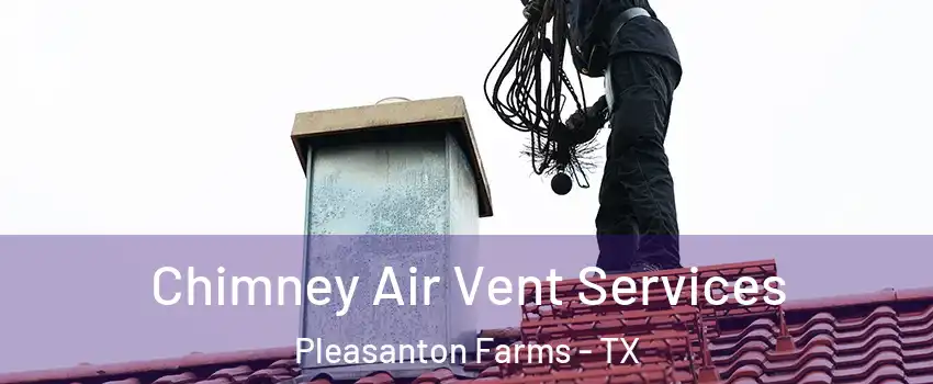 Chimney Air Vent Services Pleasanton Farms - TX