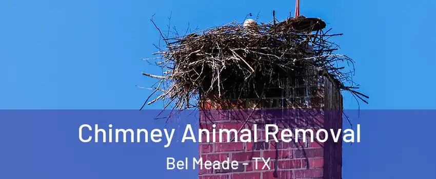 Chimney Animal Removal Bel Meade - TX