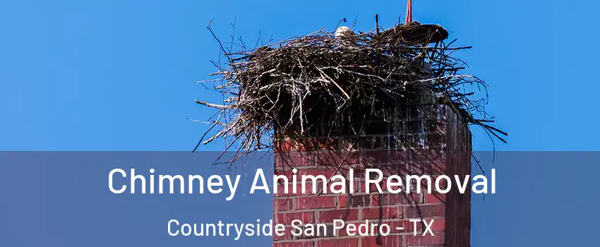 Chimney Animal Removal Countryside San Pedro - TX
