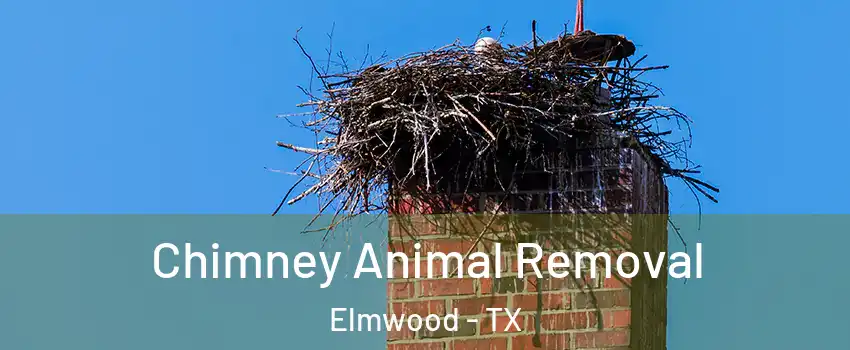 Chimney Animal Removal Elmwood - TX