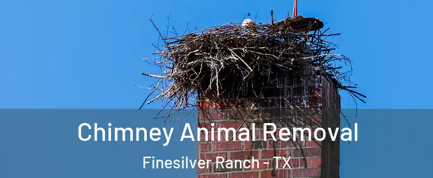 Chimney Animal Removal Finesilver Ranch - TX