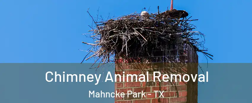 Chimney Animal Removal Mahncke Park - TX