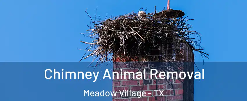 Chimney Animal Removal Meadow Village - TX