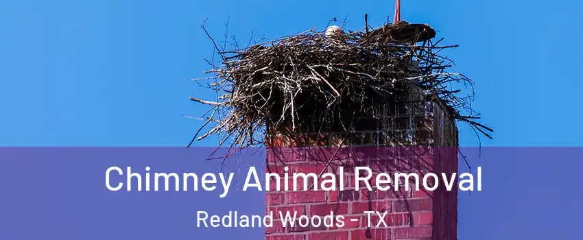 Chimney Animal Removal Redland Woods - TX