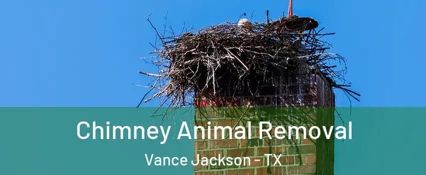 Chimney Animal Removal Vance Jackson - TX