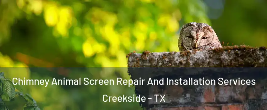 Chimney Animal Screen Repair And Installation Services Creekside - TX