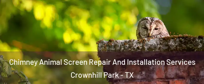 Chimney Animal Screen Repair And Installation Services Crownhill Park - TX