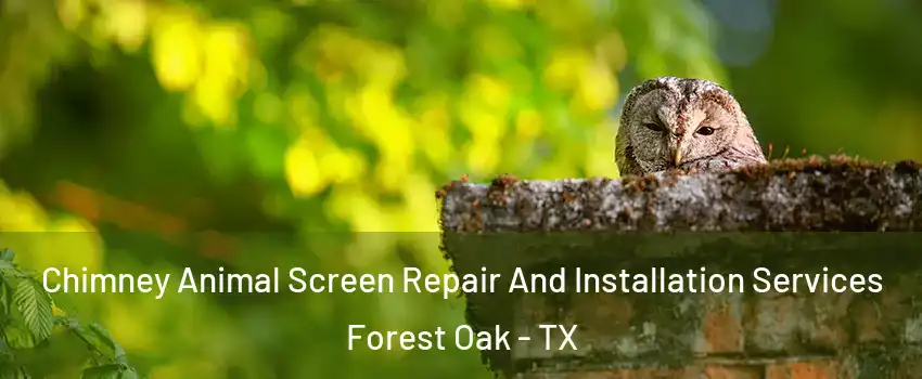 Chimney Animal Screen Repair And Installation Services Forest Oak - TX