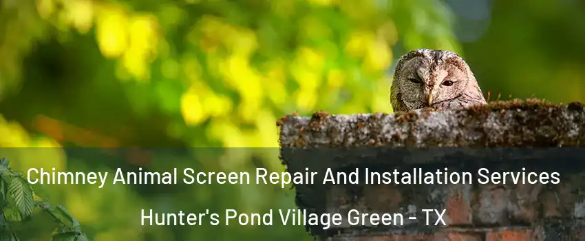 Chimney Animal Screen Repair And Installation Services Hunter's Pond Village Green - TX