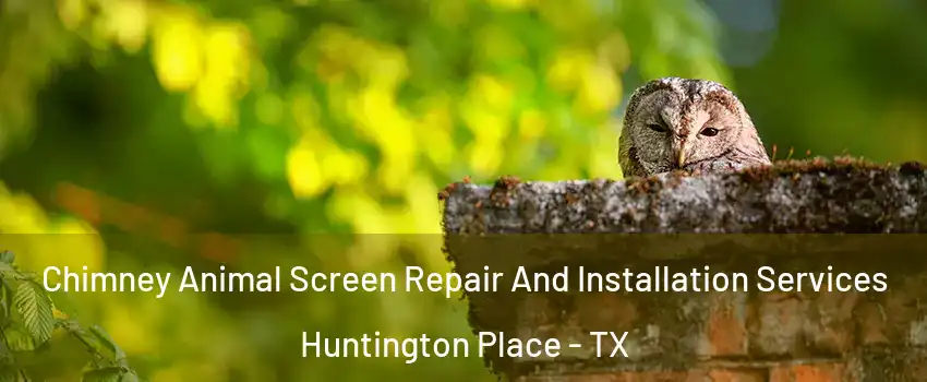 Chimney Animal Screen Repair And Installation Services Huntington Place - TX