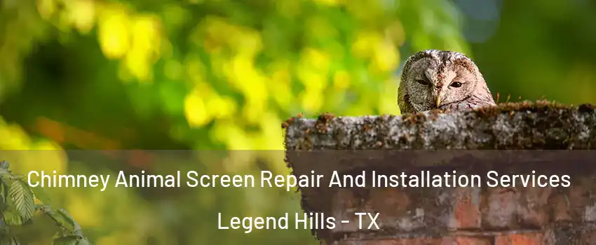 Chimney Animal Screen Repair And Installation Services Legend Hills - TX