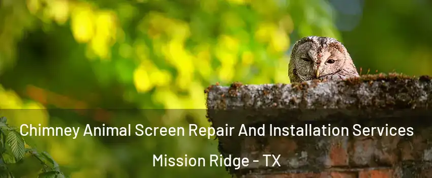 Chimney Animal Screen Repair And Installation Services Mission Ridge - TX