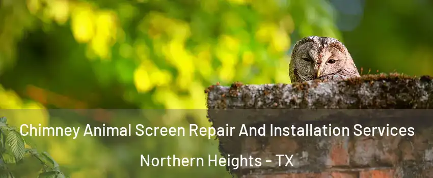 Chimney Animal Screen Repair And Installation Services Northern Heights - TX