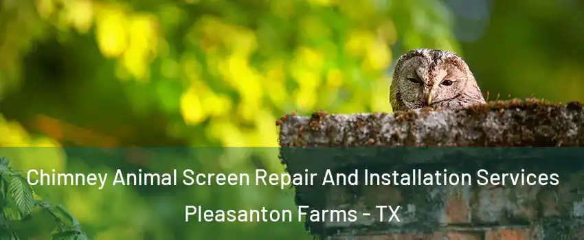 Chimney Animal Screen Repair And Installation Services Pleasanton Farms - TX