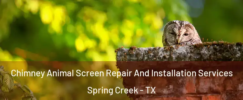 Chimney Animal Screen Repair And Installation Services Spring Creek - TX