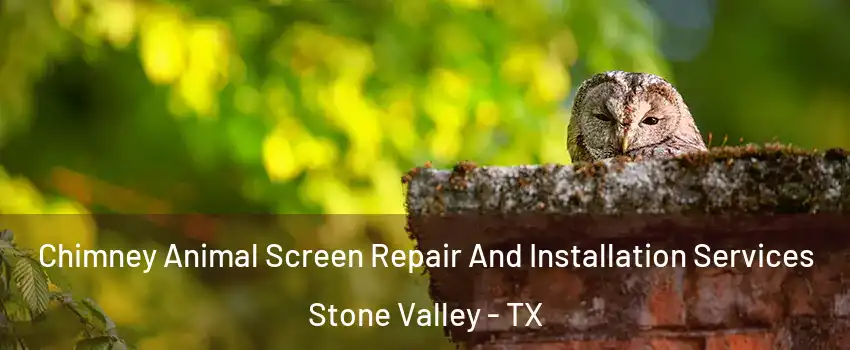 Chimney Animal Screen Repair And Installation Services Stone Valley - TX