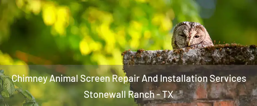 Chimney Animal Screen Repair And Installation Services Stonewall Ranch - TX