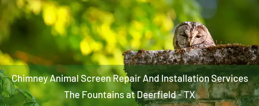 Chimney Animal Screen Repair And Installation Services The Fountains at Deerfield - TX