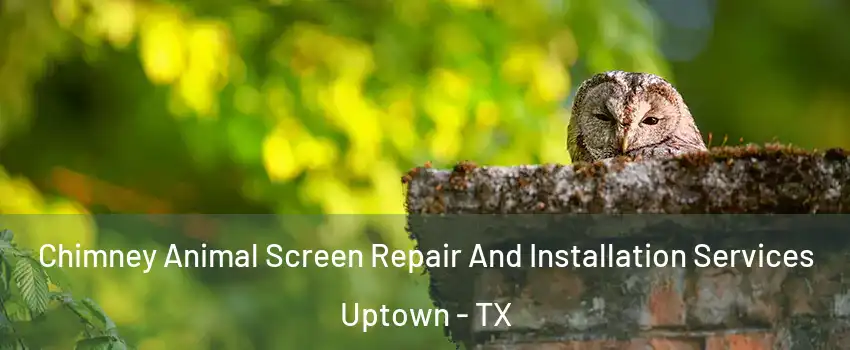 Chimney Animal Screen Repair And Installation Services Uptown - TX