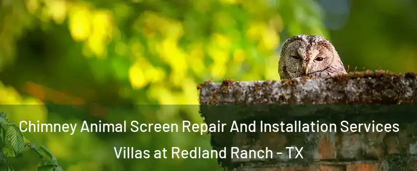 Chimney Animal Screen Repair And Installation Services Villas at Redland Ranch - TX