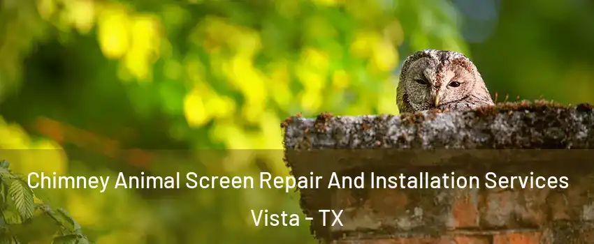 Chimney Animal Screen Repair And Installation Services Vista - TX