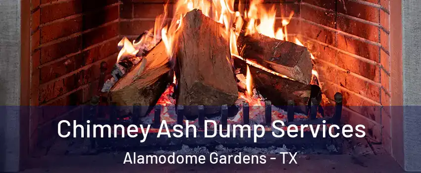 Chimney Ash Dump Services Alamodome Gardens - TX