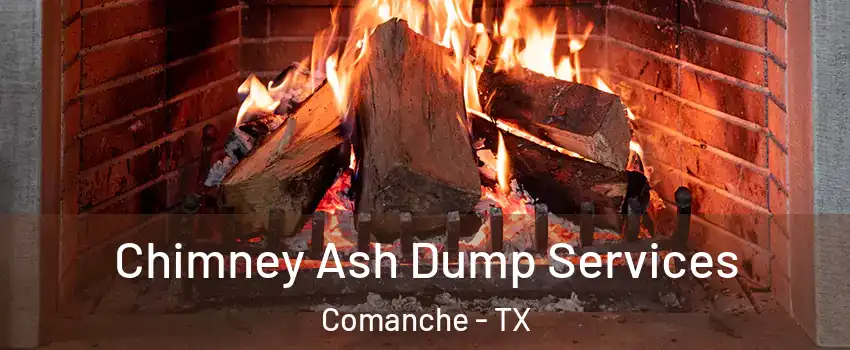 Chimney Ash Dump Services Comanche - TX