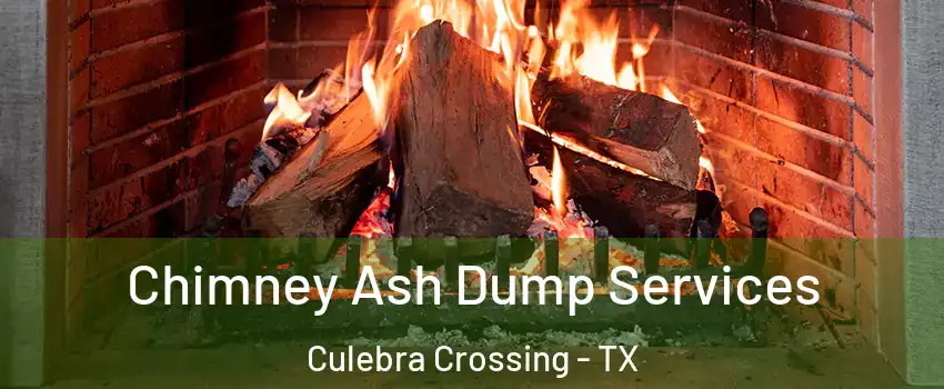 Chimney Ash Dump Services Culebra Crossing - TX