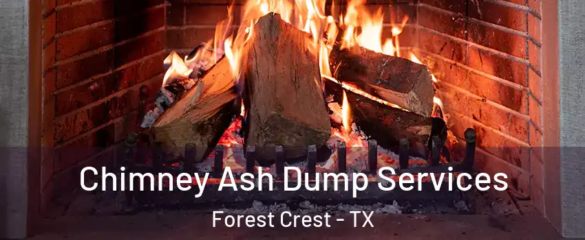 Chimney Ash Dump Services Forest Crest - TX