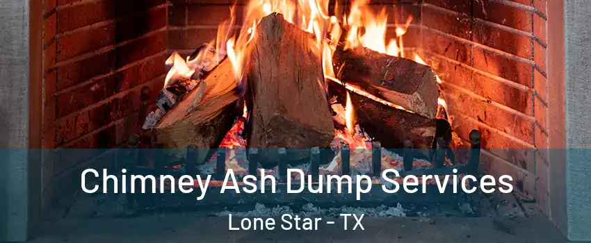 Chimney Ash Dump Services Lone Star - TX