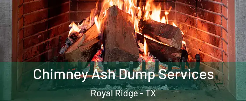 Chimney Ash Dump Services Royal Ridge - TX