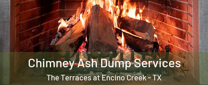 Chimney Ash Dump Services The Terraces at Encino Creek - TX