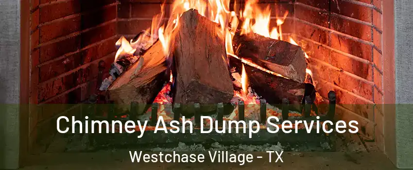 Chimney Ash Dump Services Westchase Village - TX