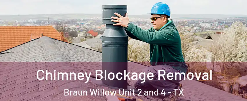 Chimney Blockage Removal Braun Willow Unit 2 and 4 - TX