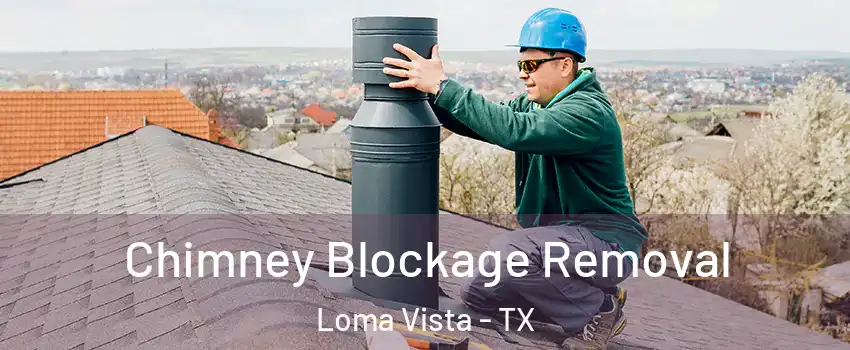 Chimney Blockage Removal Loma Vista - TX