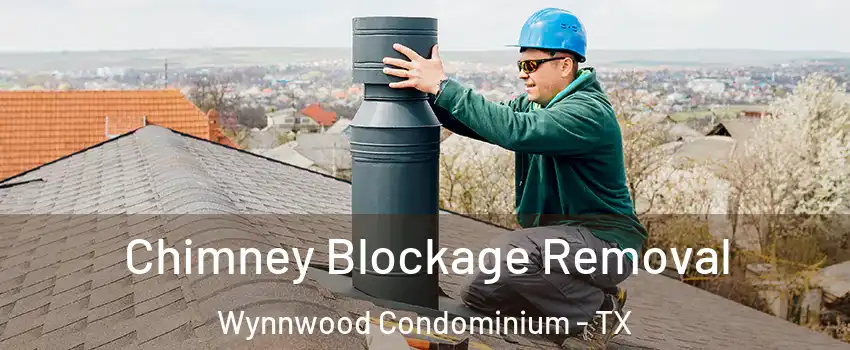 Chimney Blockage Removal Wynnwood Condominium - TX