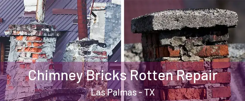 Chimney Bricks Rotten Repair Las Palmas - TX