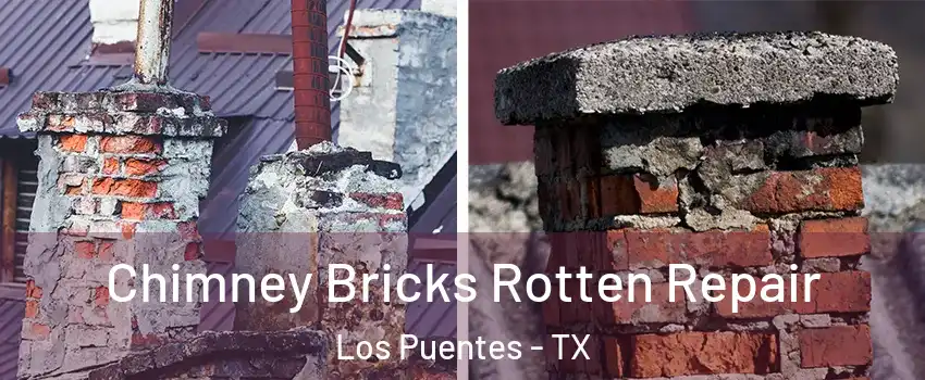 Chimney Bricks Rotten Repair Los Puentes - TX