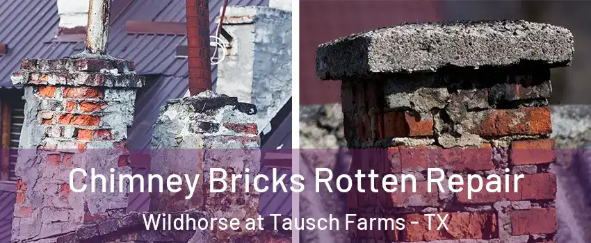 Chimney Bricks Rotten Repair Wildhorse at Tausch Farms - TX