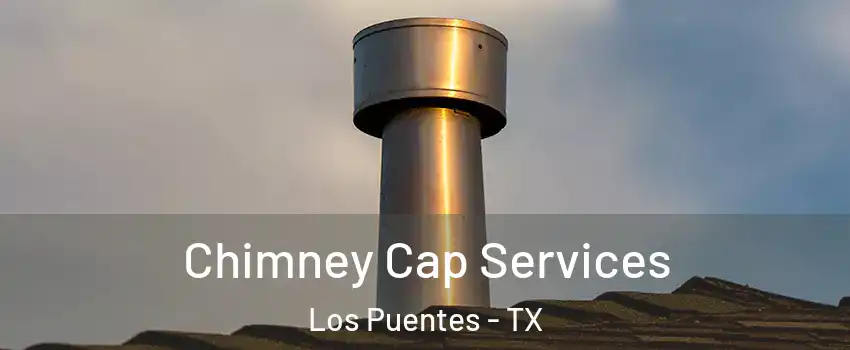 Chimney Cap Services Los Puentes - TX