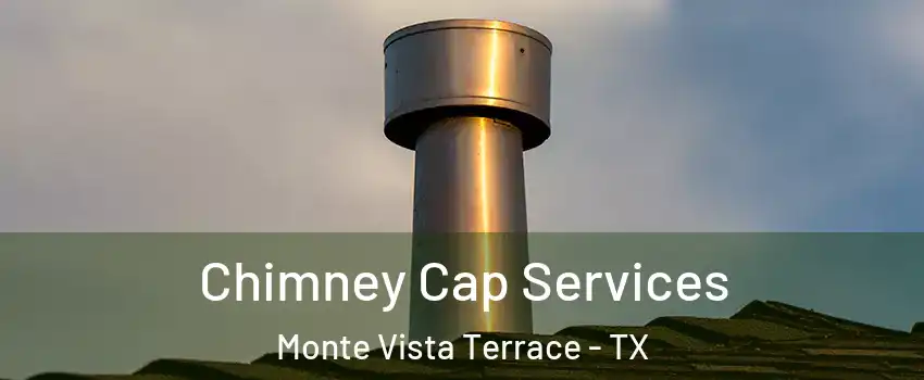 Chimney Cap Services Monte Vista Terrace - TX