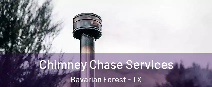 Chimney Chase Services Bavarian Forest - TX