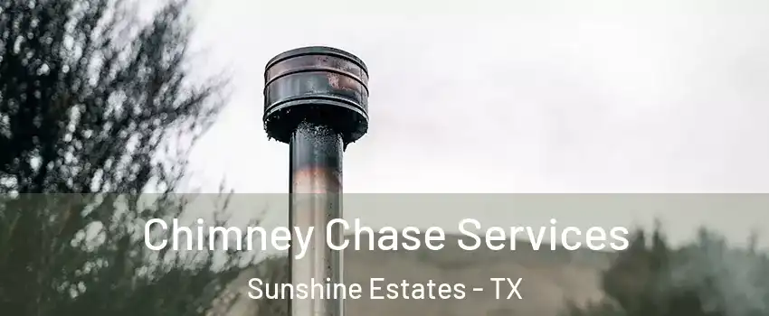 Chimney Chase Services Sunshine Estates - TX