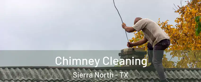 Chimney Cleaning Sierra North - TX