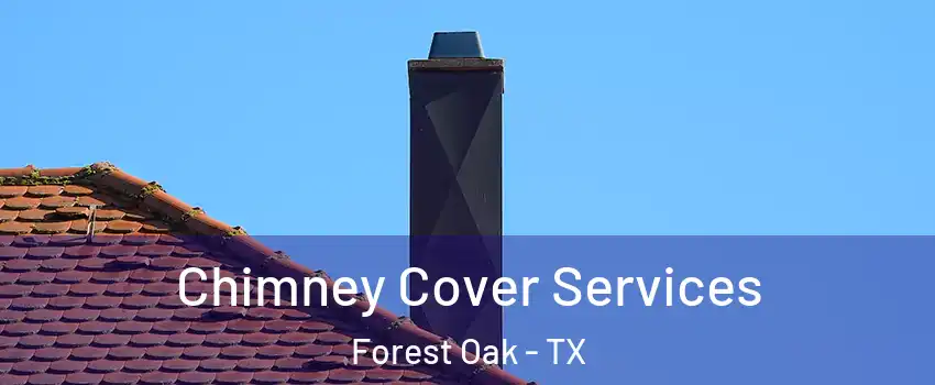 Chimney Cover Services Forest Oak - TX