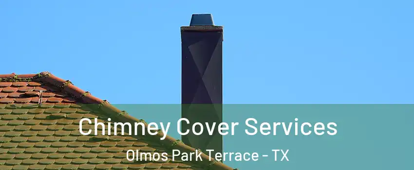 Chimney Cover Services Olmos Park Terrace - TX