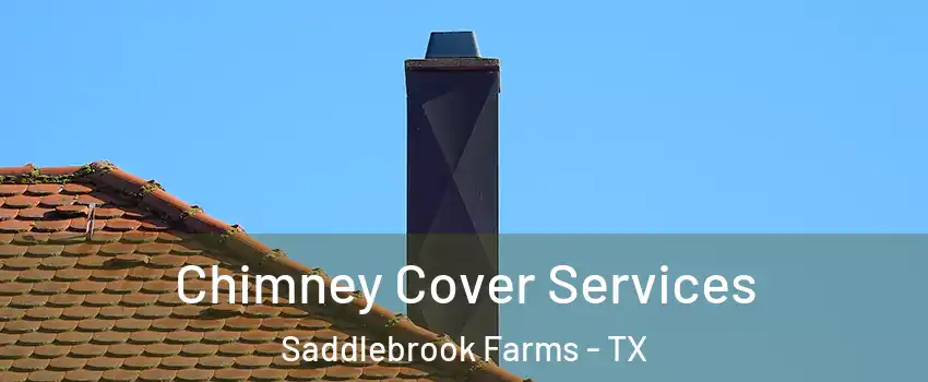 Chimney Cover Services Saddlebrook Farms - TX